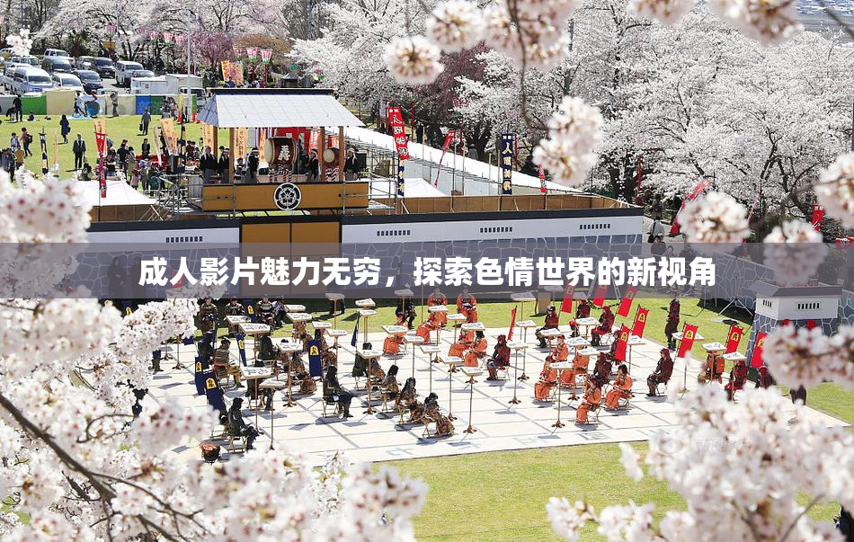 成人影片魅力无穷，探索色情世界的新视角