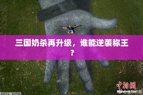 三国奶杀再升级，谁能逆袭称王？