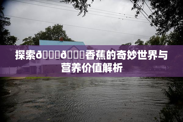 探索🔞🔞香蕉的奇妙世界与营养价值解析