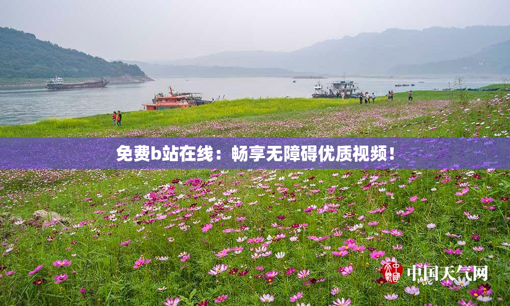 免费b站在线：畅享无障碍优质视频！