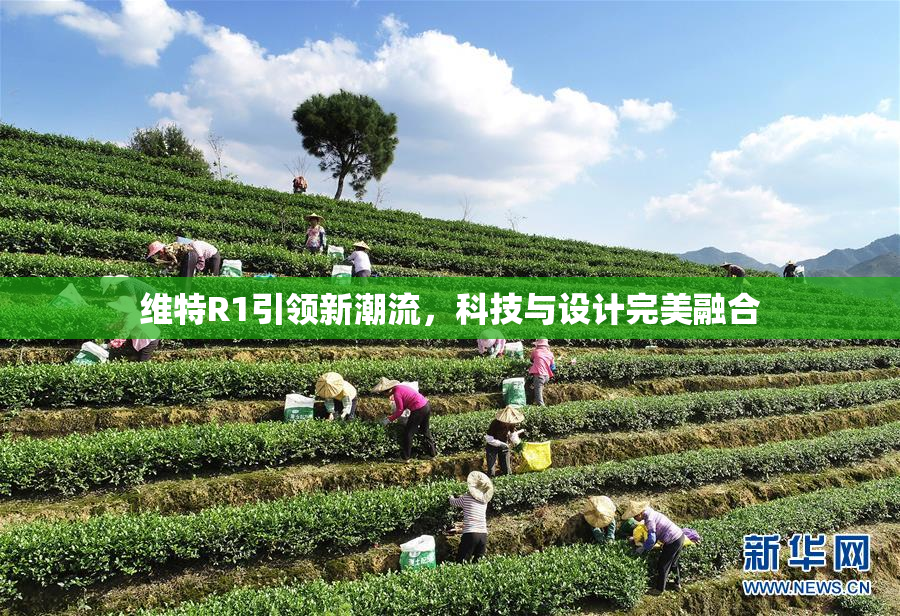 维特R1引领新潮流，科技与设计完美融合
