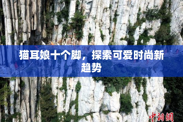 猫耳娘十个脚，探索可爱时尚新趋势