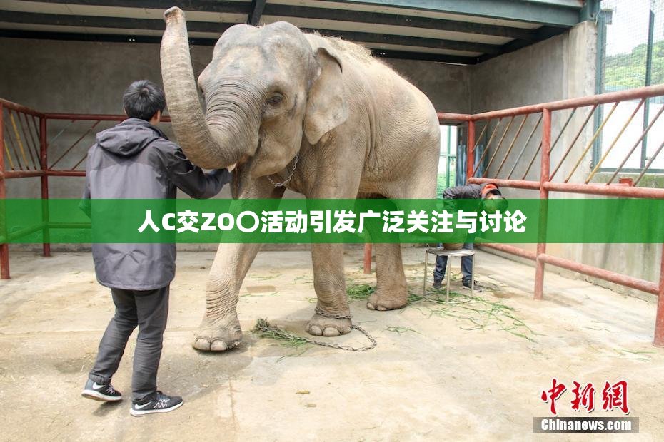 人C交ZO〇活动引发广泛关注与讨论