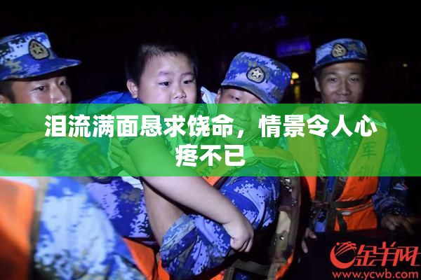 泪流满面恳求饶命，情景令人心疼不已