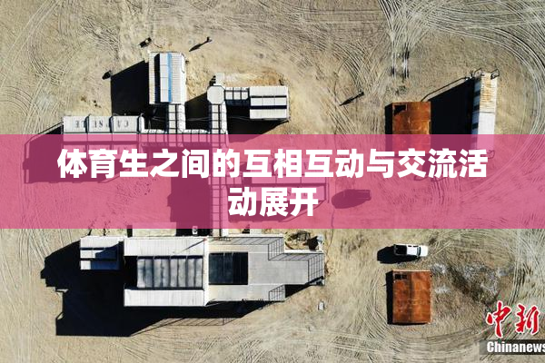 体育生之间的互相互动与交流活动展开
