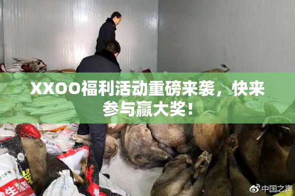 XXOO福利活动重磅来袭，快来参与赢大奖！