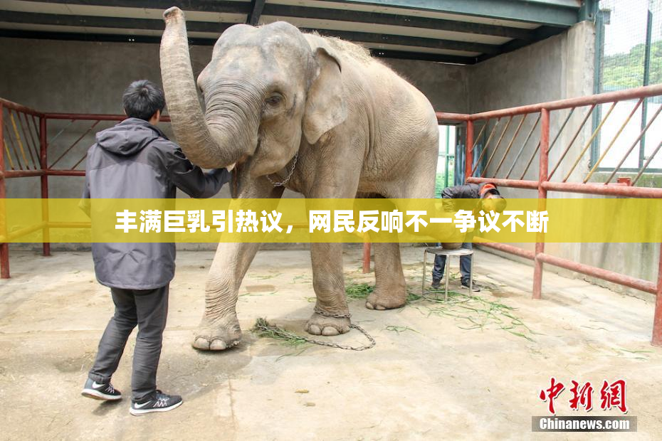 丰满巨乳引热议，网民反响不一争议不断