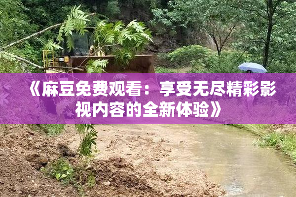 《麻豆免费观看：享受无尽精彩影视内容的全新体验》