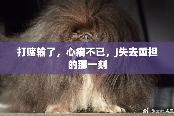 打赌输了，心痛不已，J失去重担的那一刻