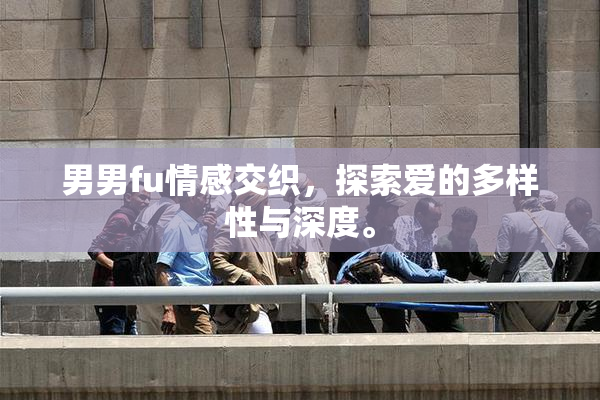 男男fu情感交织，探索爱的多样性与深度。