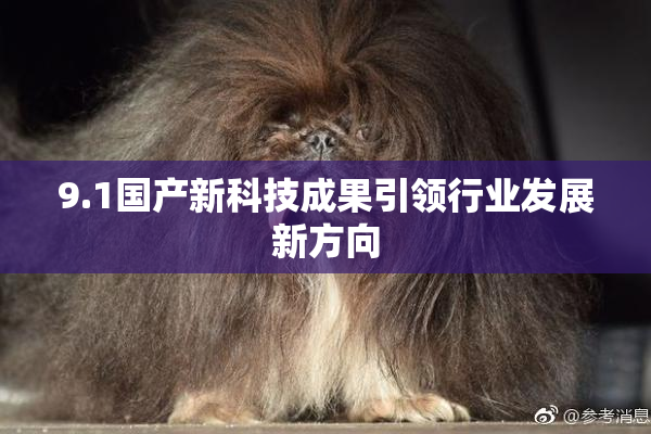 9.1国产新科技成果引领行业发展新方向