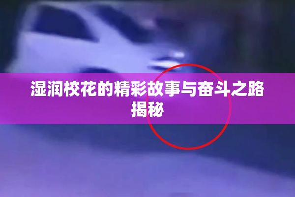 湿润校花的精彩故事与奋斗之路揭秘
