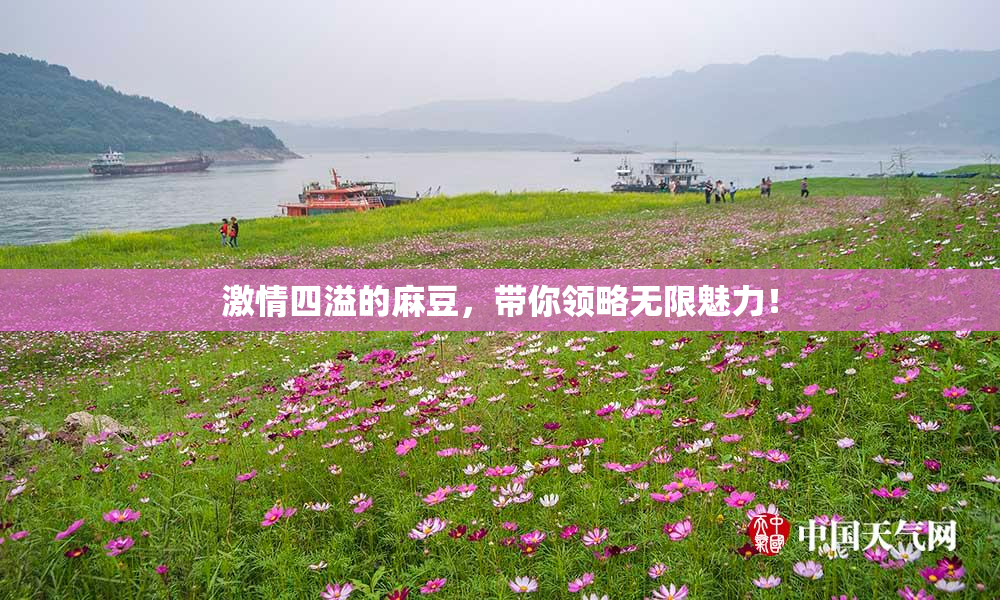 激情四溢的麻豆，带你领略无限魅力！