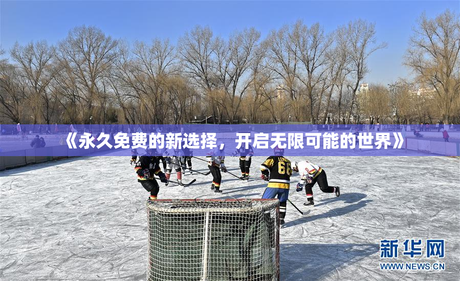 《永久免费的新选择，开启无限可能的世界》