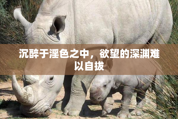 沉醉于淫色之中，欲望的深渊难以自拔