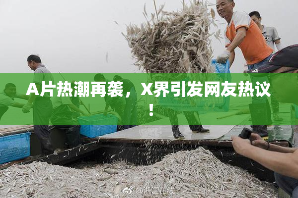 A片热潮再袭，X界引发网友热议！