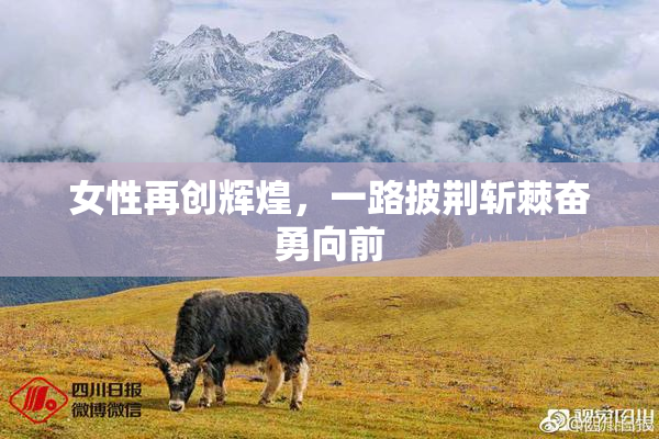 女性再创辉煌，一路披荆斩棘奋勇向前