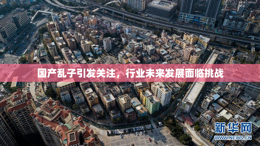 国产乱子引发关注，行业未来发展面临挑战