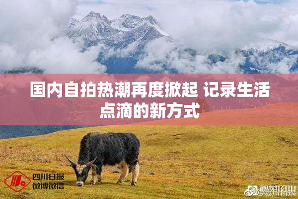 国内自拍热潮再度掀起 记录生活点滴的新方式