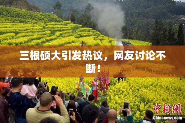 三根硕大引发热议，网友讨论不断！