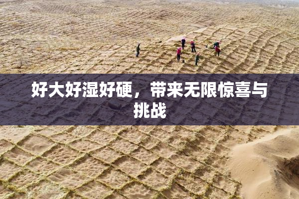 好大好湿好硬，带来无限惊喜与挑战