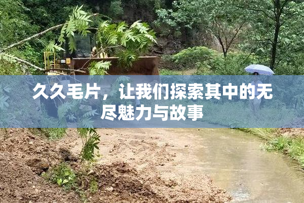久久毛片，让我们探索其中的无尽魅力与故事