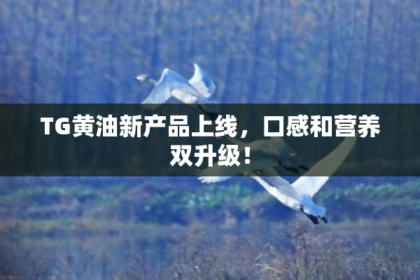 TG黄油新产品上线，口感和营养双升级！