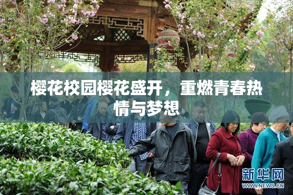 樱花校园樱花盛开，重燃青春热情与梦想