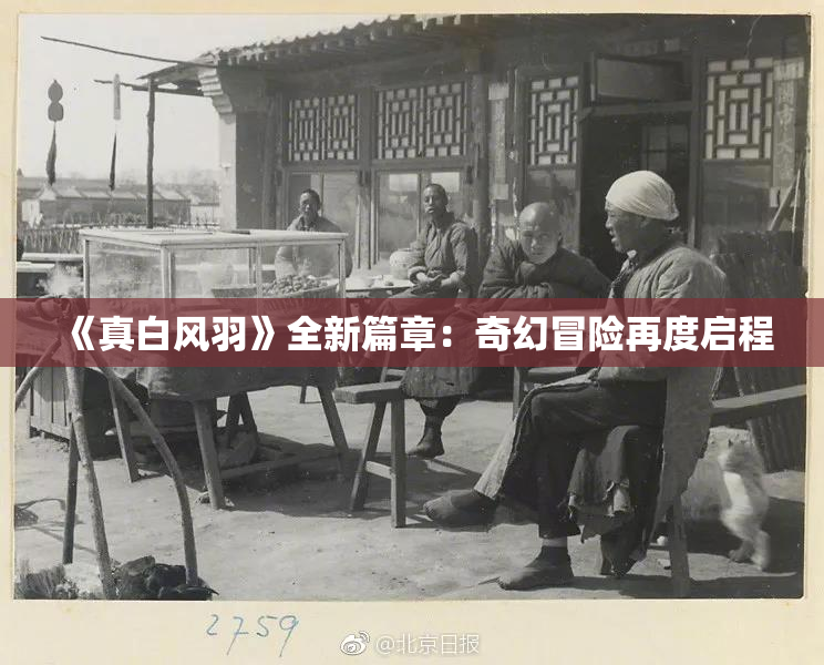 《真白风羽》全新篇章：奇幻冒险再度启程
