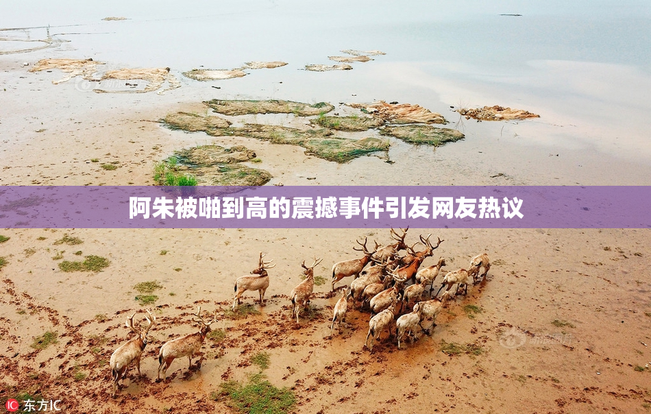 阿朱被啪到高的震撼事件引发网友热议