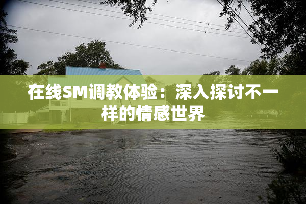 在线SM调教体验：深入探讨不一样的情感世界