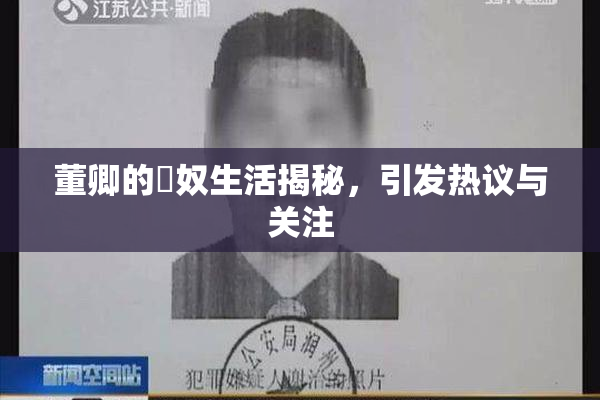 董卿的婬奴生活揭秘，引发热议与关注
