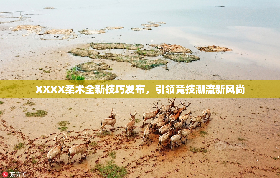 XXXX柔术全新技巧发布，引领竞技潮流新风尚