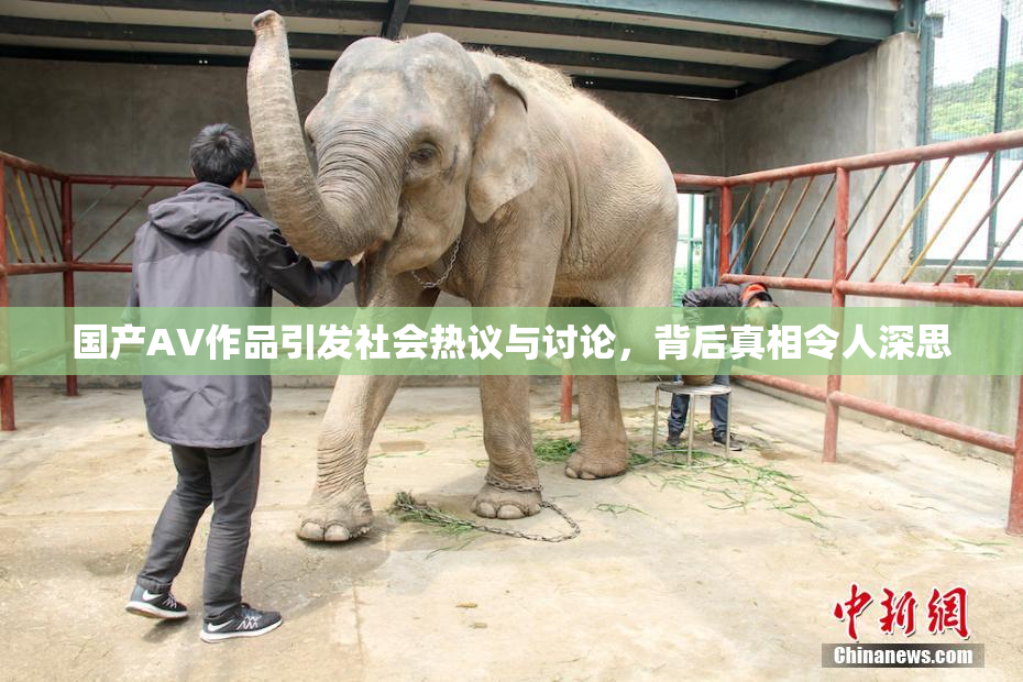 国产AV作品引发社会热议与讨论，背后真相令人深思