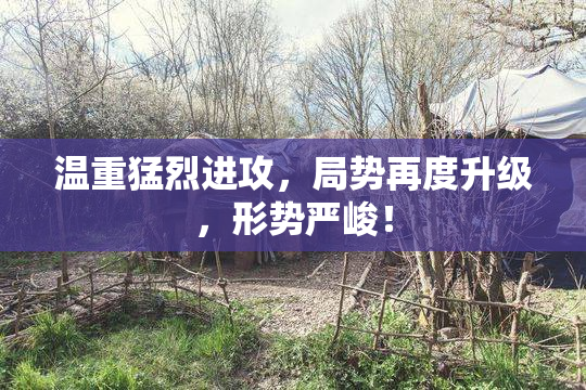 温重猛烈进攻，局势再度升级，形势严峻！
