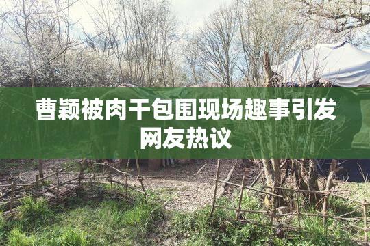 曹颖被肉干包围现场趣事引发网友热议