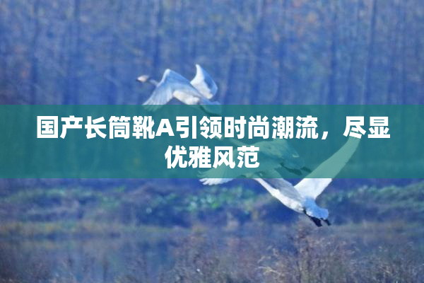 国产长筒靴A引领时尚潮流，尽显优雅风范