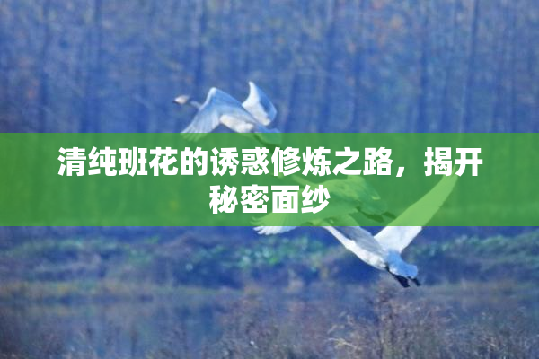清纯班花的诱惑修炼之路，揭开秘密面纱