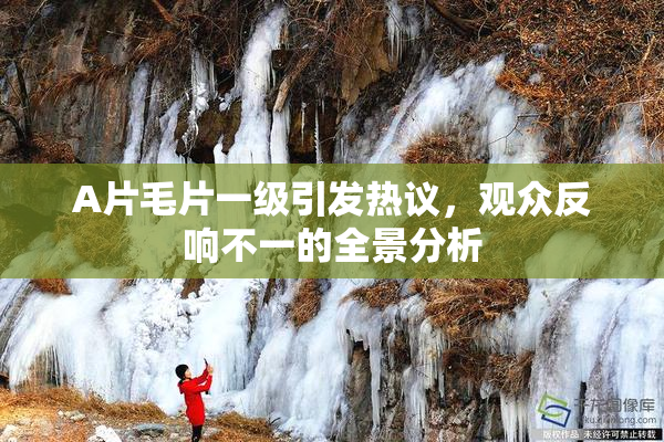 A片毛片一级引发热议，观众反响不一的全景分析