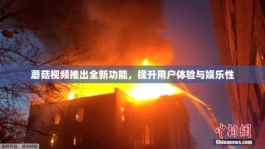 蘑菇视频推出全新功能，提升用户体验与娱乐性