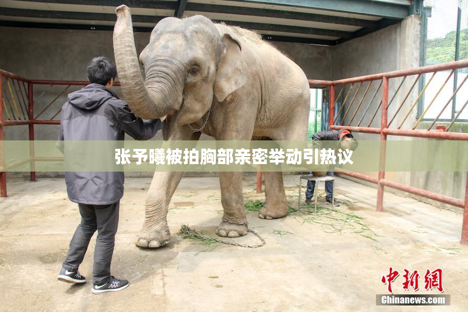 张予曦被拍胸部亲密举动引热议