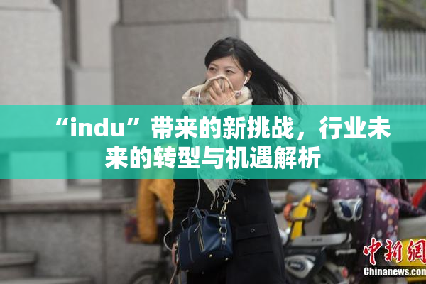 “indu”带来的新挑战，行业未来的转型与机遇解析