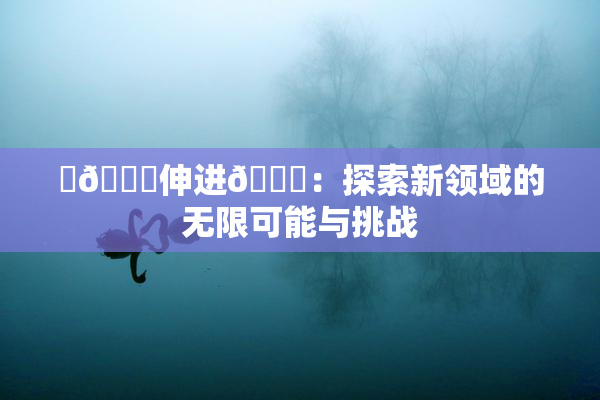 ‌🍌伸进🍑：探索新领域的无限可能与挑战
