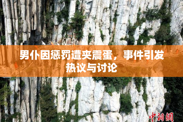 男仆因惩罚遭夹震蛋，事件引发热议与讨论