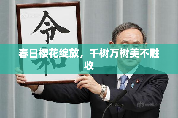 春日樱花绽放，千树万树美不胜收