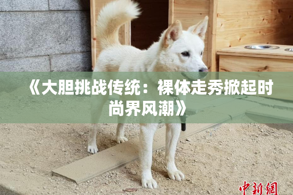 《大胆挑战传统：裸体走秀掀起时尚界风潮》
