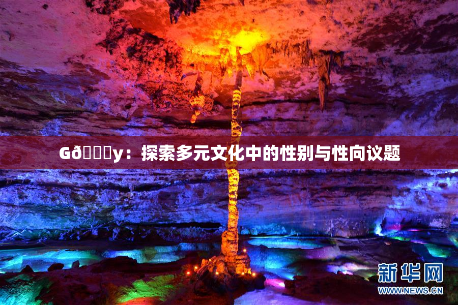 G🈚y：探索多元文化中的性别与性向议题