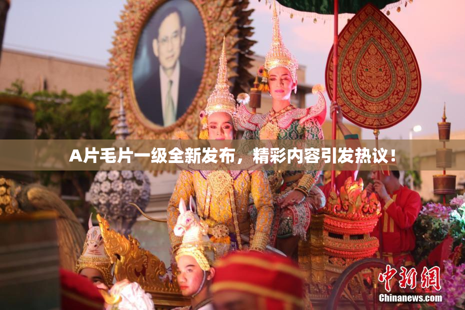 A片毛片一级全新发布，精彩内容引发热议！