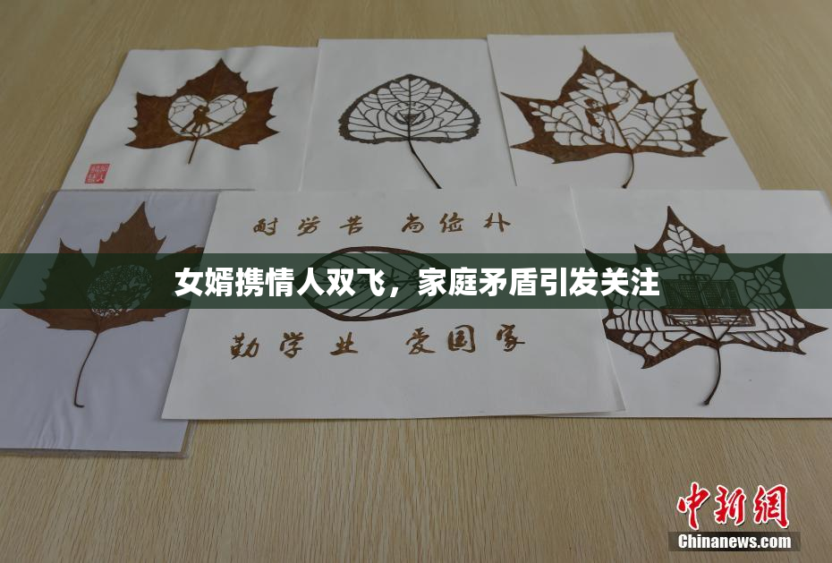 女婿携情人双飞，家庭矛盾引发关注