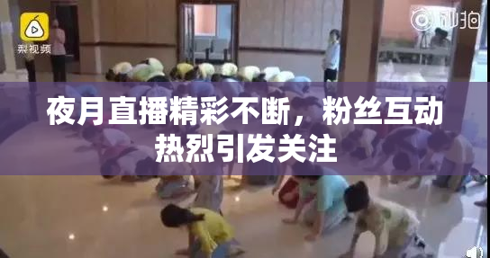 夜月直播精彩不断，粉丝互动热烈引发关注